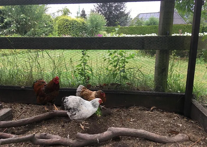 Pensionat In Het Voorhuis 3*